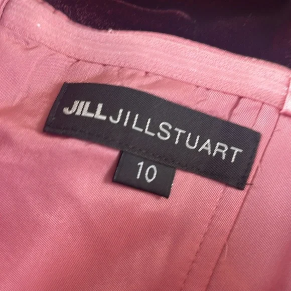 Jill Stuart (Orig: $518) Two Tone Silk Velvet Strapless Formal Gown Sz 10 - Picture 8 of 12